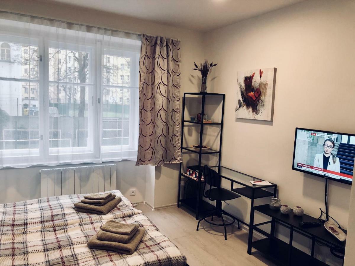 Luxury Apartment